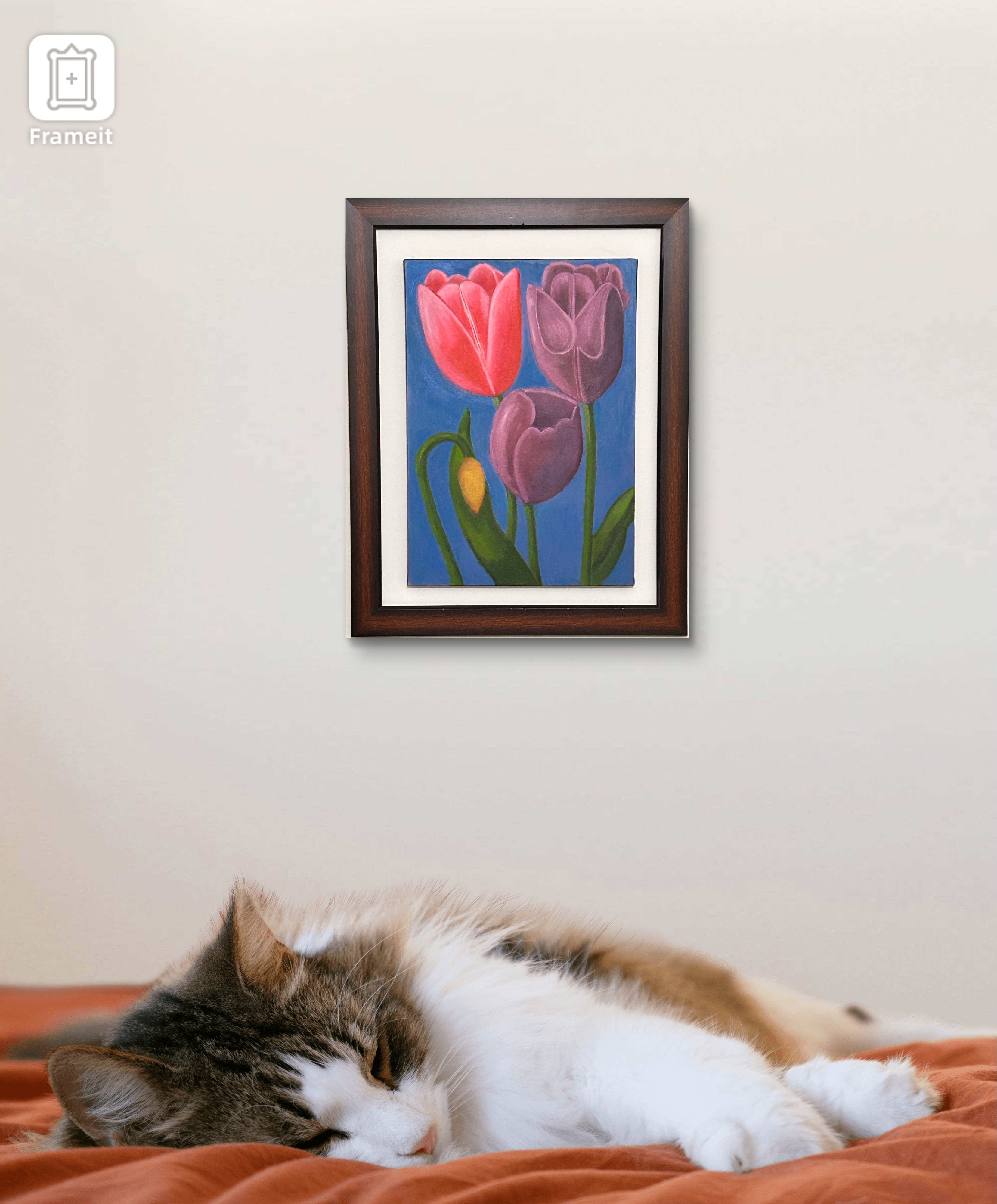 Tulipanes