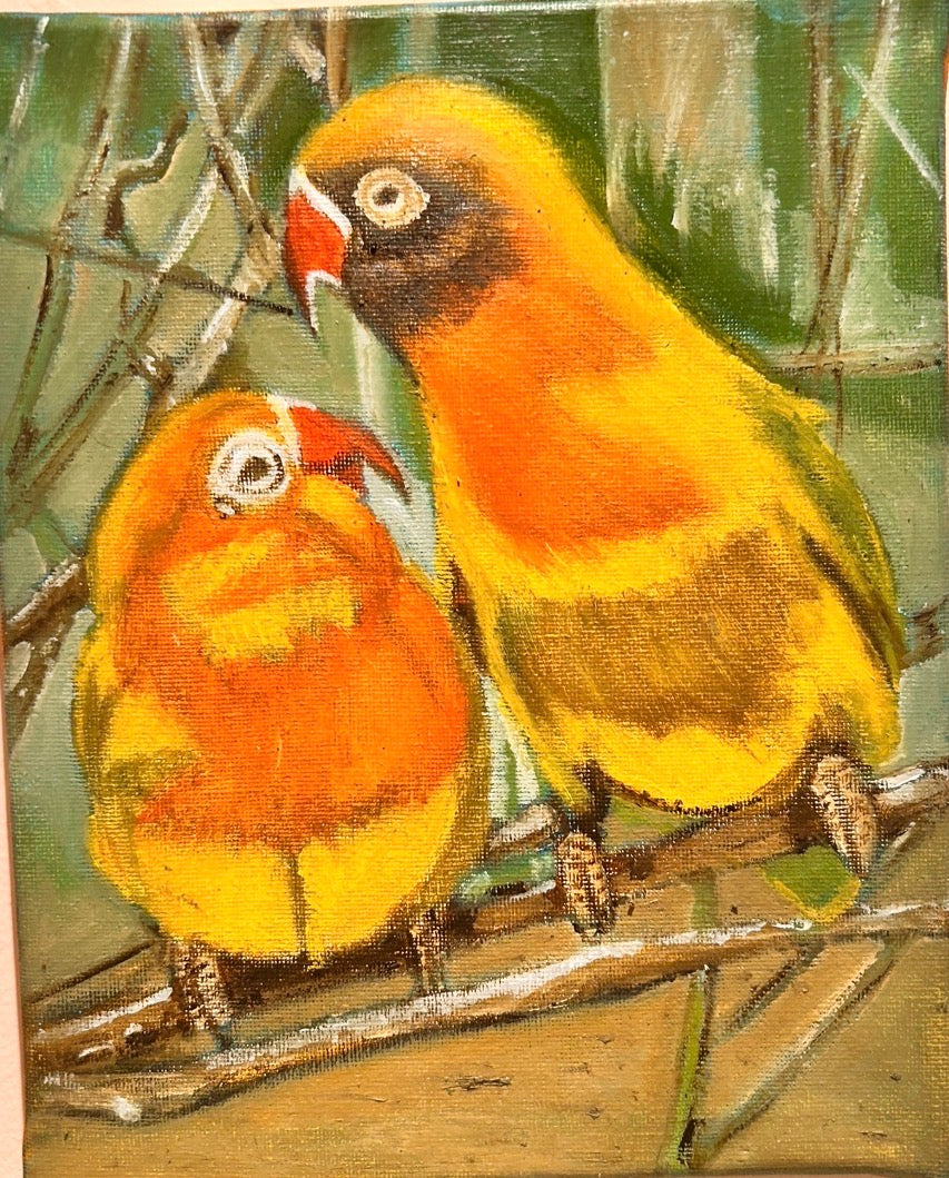 Pericos en su hábitat