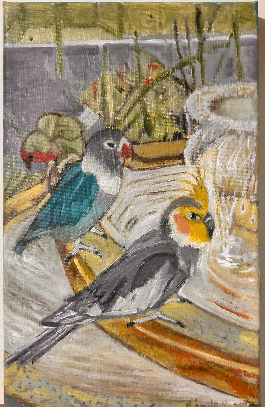 Pericos al baño